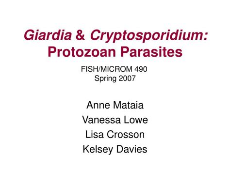 PPT - Giardia & Cryptosporidium: Protozoan Parasites PowerPoint ...