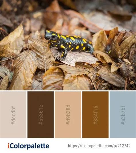 5 Salamandra Color Palette Ideas In 2024 Icolorpalette