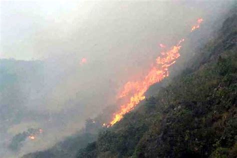 Tourists Rescued In Bali Beachside Fire Indonesia Expat