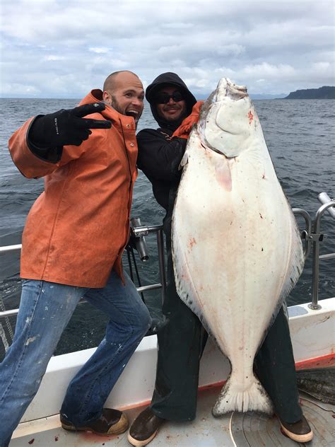 Halibut Fishing – June 11 | ProFish-n-Sea