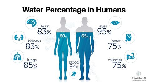 How Much Water Should You Drink Every Day