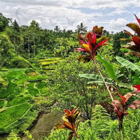 Rekomendasi Desa Wisata Di Lombok Yang Bikin Kamu Nyaman