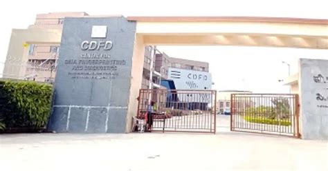CDFD Recruitment 2024 - Apply Online for 08 Junior Assistant