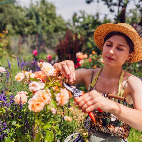 What To Grow This Summer Nursery Near Me