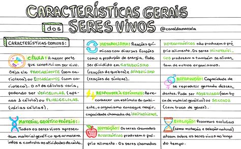 Características Gerais Dos Seres Vivos E Organização Dos Seres Vivos