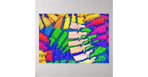 Colorful Spine Art Poster Horizontal Zazzle