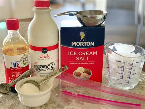 Easy Homemade Ice Cream Recipe In A Bag Lake Life State Of Mind