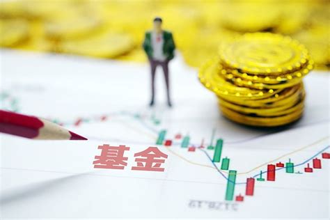 finance ministry    reining  chinas local government