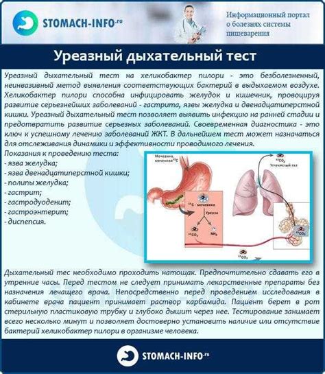 Дыхательный тест на хеликобактер: подготовка, преимущества и недостатки