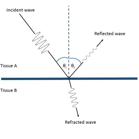 labelled refraction diagram understanding  basics  light bending
