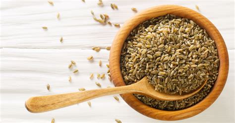 This Ancient Grain is Back! - Goodnet