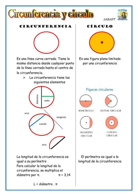 Circulo Y Circunferencia Ficha Interactiva Algebra Formulas Math