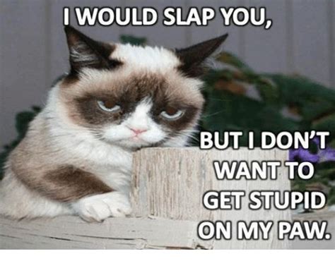 Image result for national slap your annoying coworker day | Funny ...