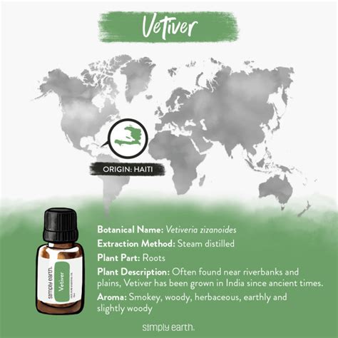 Simply Earth Vetiver Essential Oil