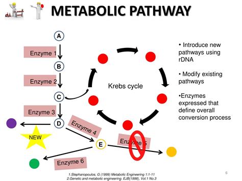 Metabolic Pathway Me Pinterest Pathways