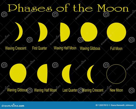 Phases Of The Moon Stock Photos Image 12057813