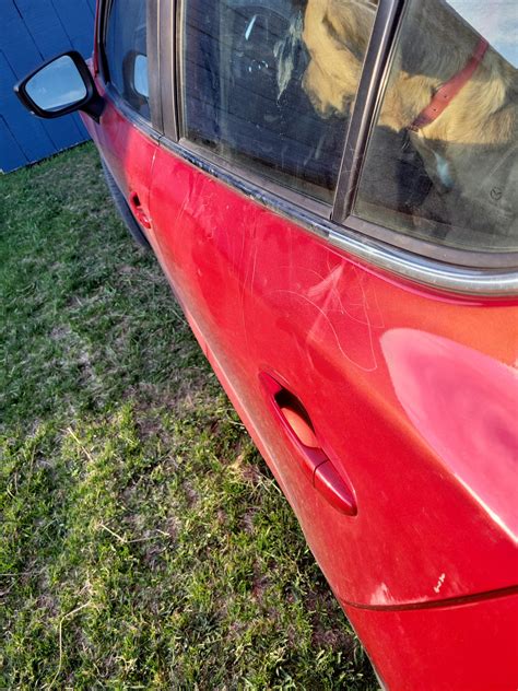 Any Idea On How To Get Dog Scratches Out Of Paint 🙄 Rcardetailingtips