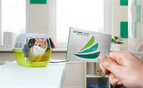 Carecredit For Pets Evaluations How Does Carecredit Work Ifcfinanz