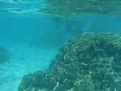 Katja Has Sex Underwater In The Tropical Waters Near Bora Bora Xxx Mobile Porno Videos