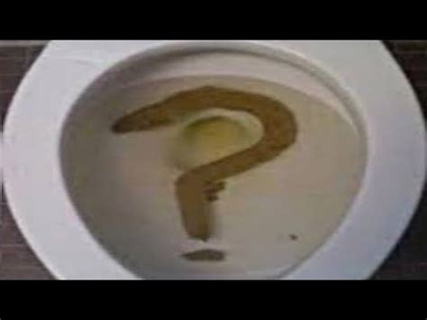 ПОЧЕМУ ВОНЯЕТ ГОВНО ? 💩 - YouTube