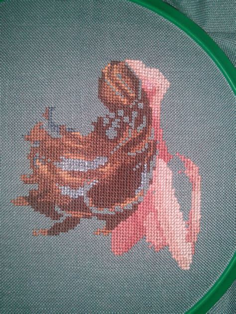 Мирабилии от Норы Корбетт - Страница 48 - Совместные процессы - Форум ...