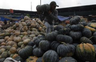 Pedagang Buah Labu Parang Di Pasar Induk Kramat Jati Datatempo