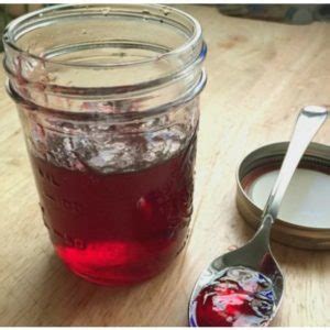 Homemade Pomegranate Jelly: A Sweet and Tangy Canning Recipe - Creative ...