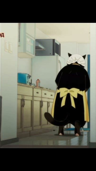 Юкичи и стрес😼Кот мастер на все лапки сегодня снова грустит 😸 - YouTube