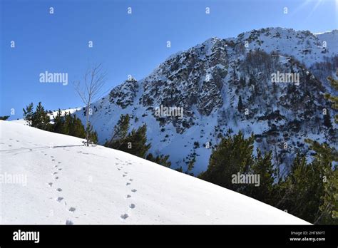 Winter Hiking On Zelengora Mountain Bosnia Stock Photo Alamy