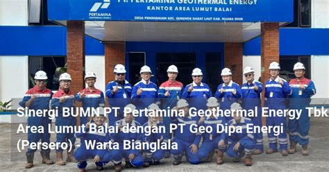 Sinergi Bumn Pt Pertamina Geothermal Energy Tbk Area Lumut Balai Dengan