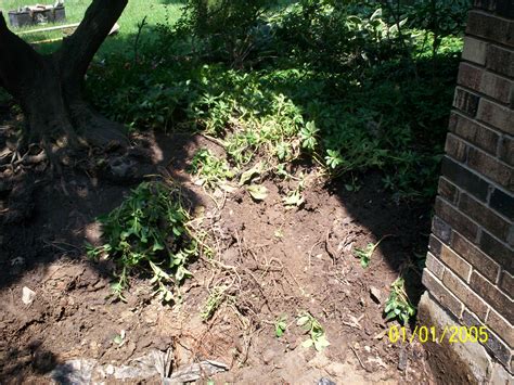 Pond Leak Repair & Renovations | St Charles, Chicagoland, Kane County