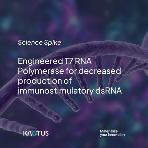 Engineered T7 RNA Polymerase to Reduce dsRNA