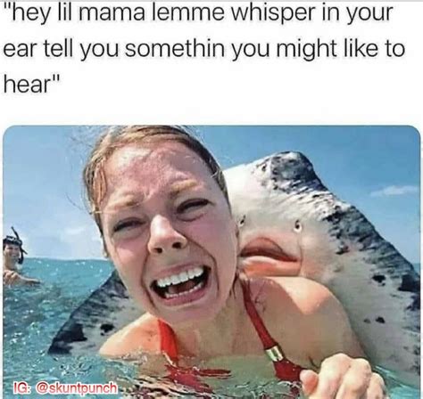 Latest Memes New Memes Memedroid