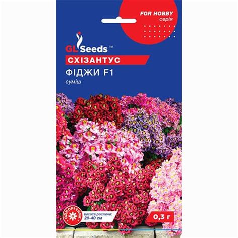 Схизантус Фиджи GL Seeds (99545): купить семена почтой в Украине ...