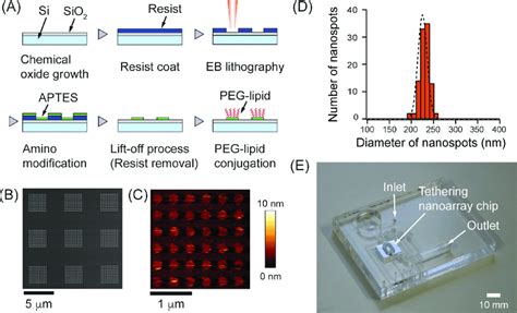 Hybrid Nanofabrication Process For Forming An Array Of Nanospots A