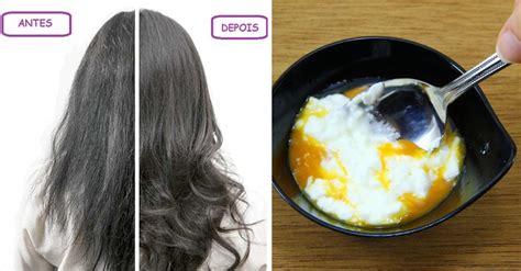 Mascaras Caseiras Para O Cabelo - 8 Receitas de máscaras caseiras para cabelo poderosas