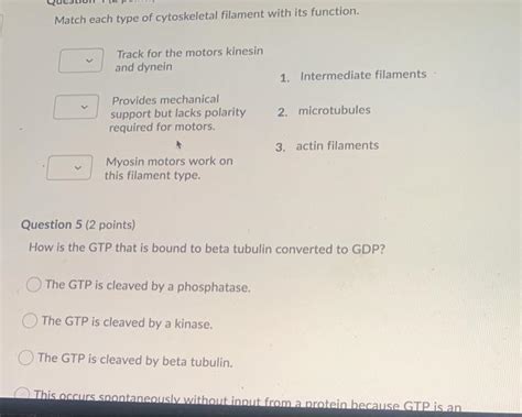 Solved Match each type of cytoskeletal filament with its | Chegg.com