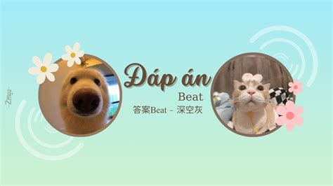 Vietsub Douyin Đáp án答案beat Thâm Không Khôi 深空灰 Bản vui nhộn remix hot douyin 2024