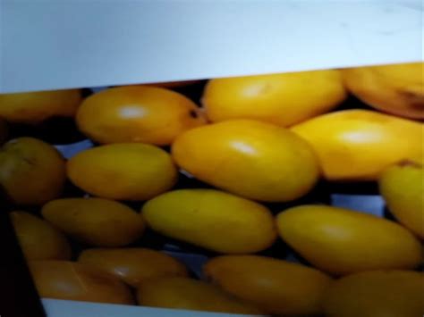 Mango All Variety At Best Price In Chennai Id 22346375348