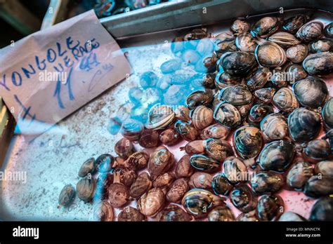 Mediterranean Clam Shells Ready For Sale On A Market Stock Photo Alamy