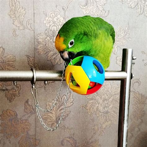 High Quality X Parrot Toy With Chain Pet Bird Bites Toy Parrot Chew