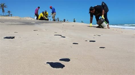 Óleo volta a aparecer em Canoa Quebrada no Ceará