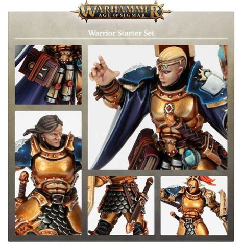 Gw Age Of Sigmar Warrior Eng