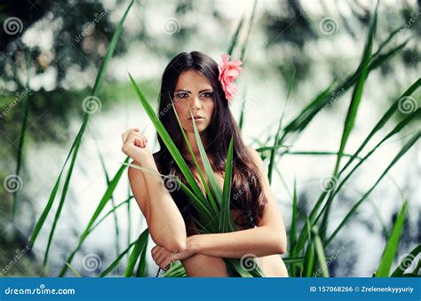 Sexuelle Brunette Frau Im Wasser Sommersaison Stockfoto Bild Von Br Nette Dame