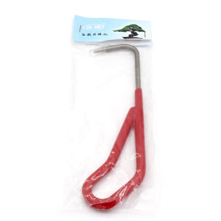 Gancho raíces CH1 gama amateur 200 mm Laos Garden