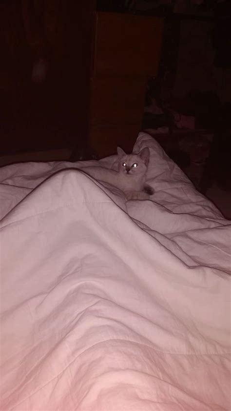 Pin By On Pins By You Boyfriend Pranks Pictures Boyfriend Pictures Hot White Guys