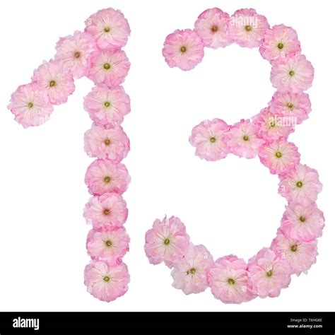 The Number 13 In Pink