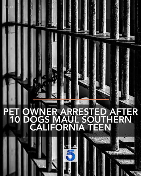 KTLA - A pet owner has been arrested after 10 of his dogs allegedly