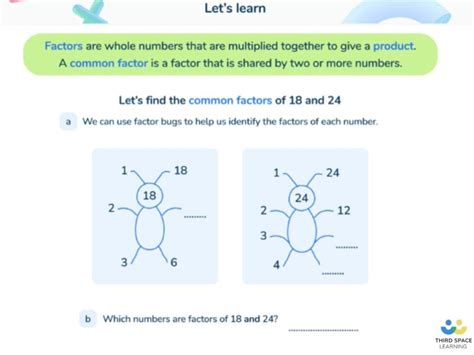What Is The Highest Common Factor Explained For Primary