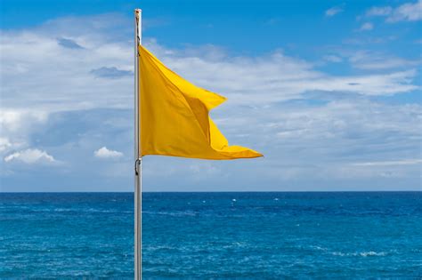 What do the colors of the flags on the beach mean?